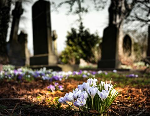 Cimetière